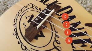 ukulele strings