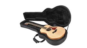 acoustic guitar case